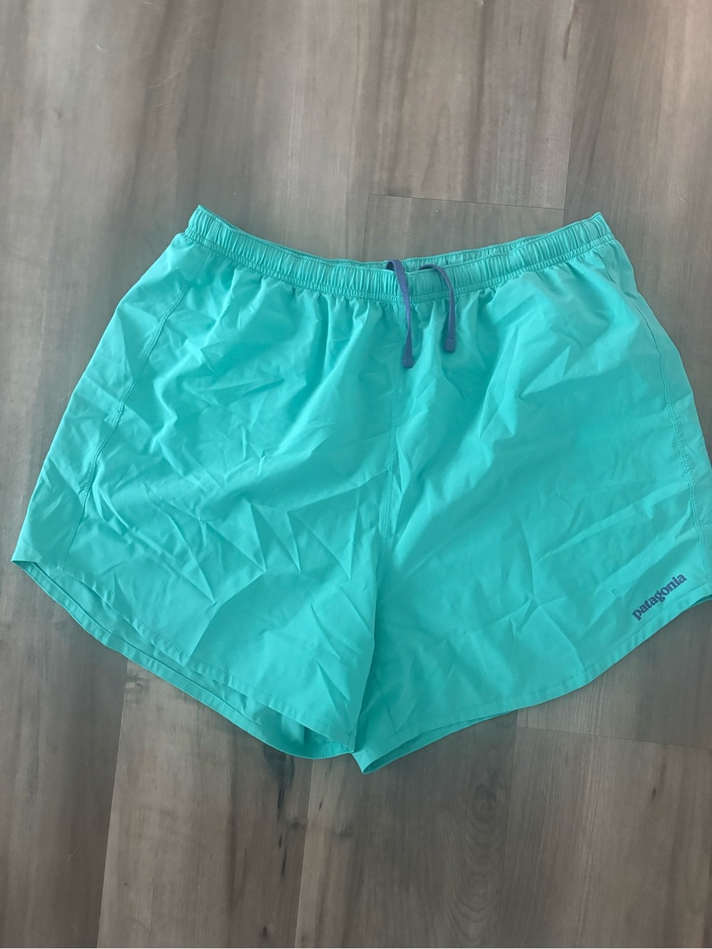 Patagonia Women’s Turquoise Athletic Shorts size large